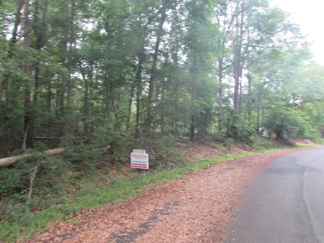 Lot 15 Paradise St, Lincolnton, GA 30817 - photo 1