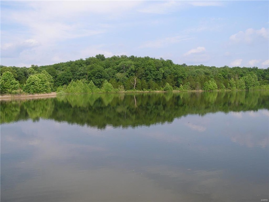 0 Finney Rd unit 16062579, Robertsville, MO 63072 - photo 1