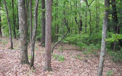 LT 36 Abbott Mill Rd, Ellijay, GA 30540 - photo 1