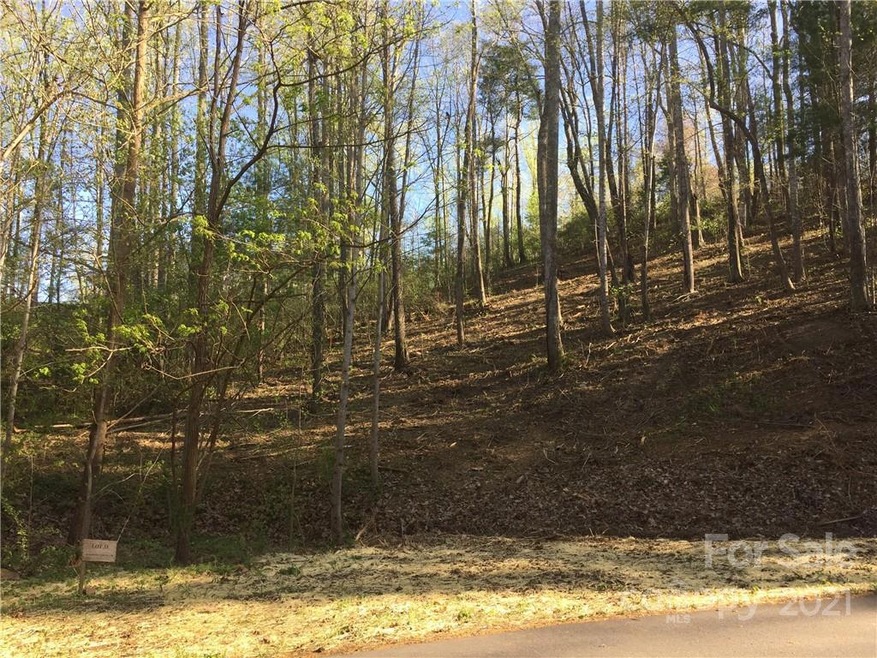 26 Forest Spring Dr unit 33A, Asheville, NC 28804 - photo 1