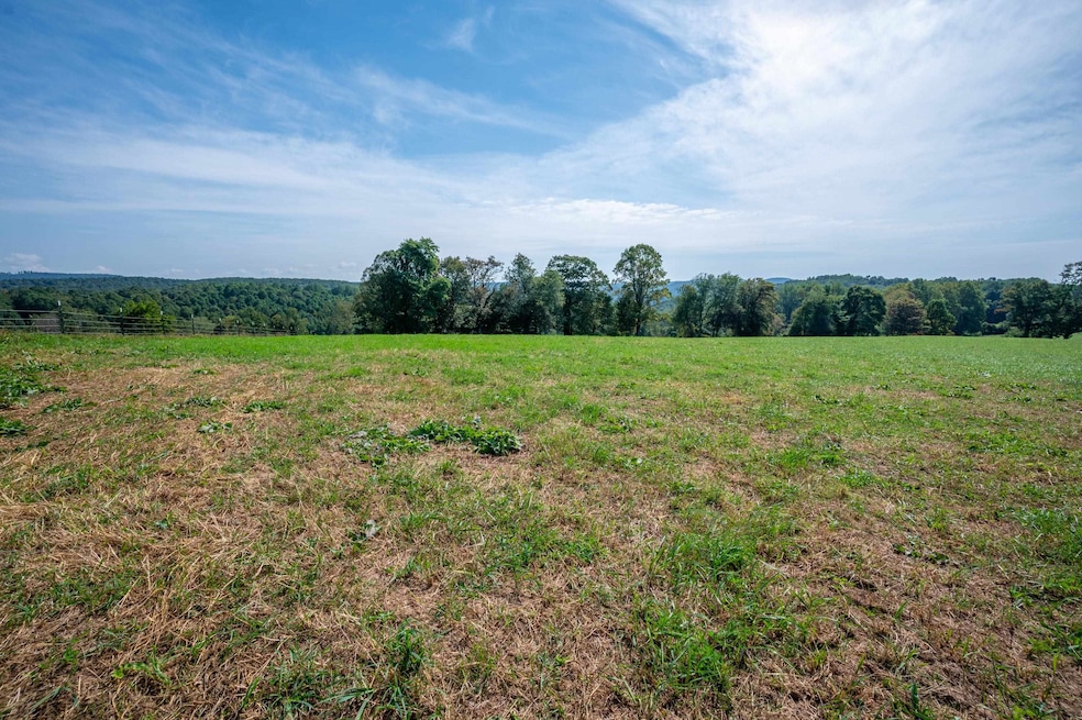 0 Pinnacle Ln, Meadows of Dan, VA 24120 - photo 1