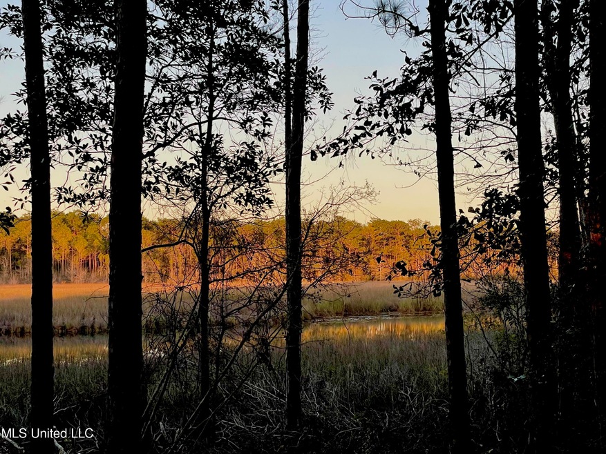 Bayou Sunsets