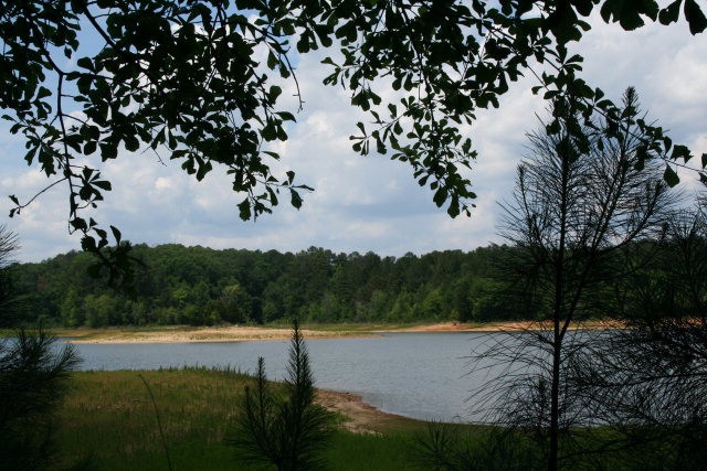 Main View