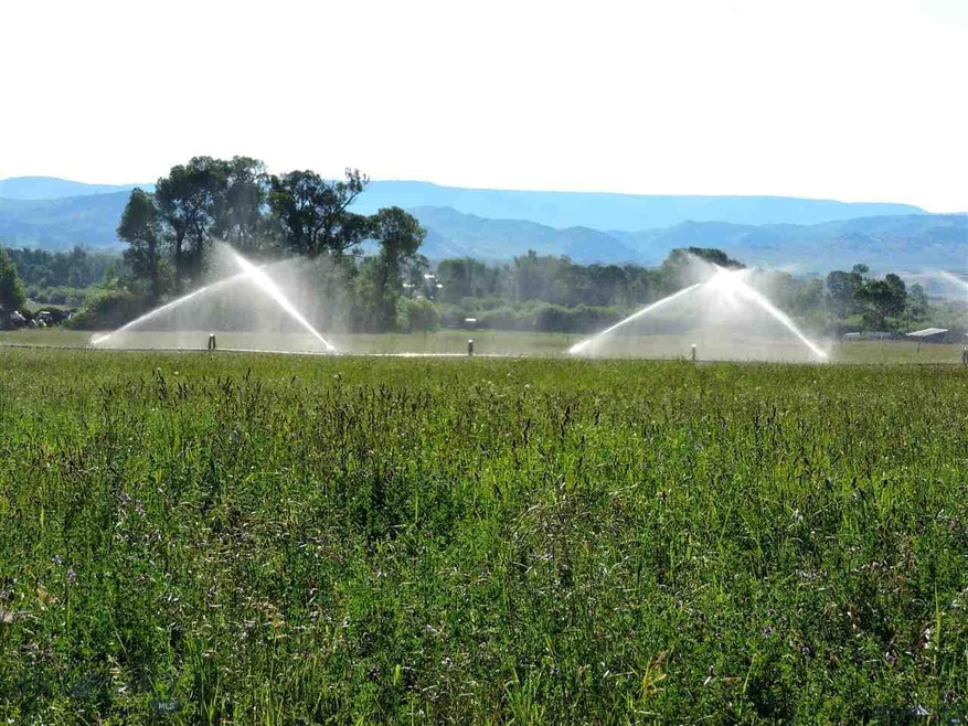Irrigated Acreage