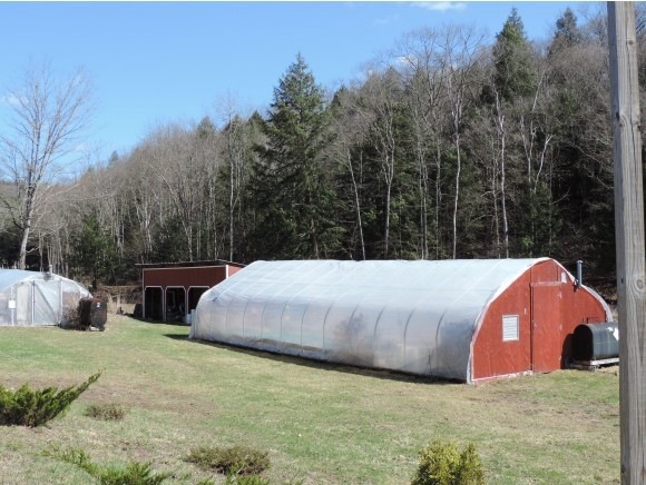 236 Forest Rd, Alstead, NH 03602 - photo 1