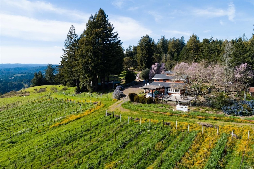 1020 Holmes Ranch Rd, Philo, CA 95466 - photo 1