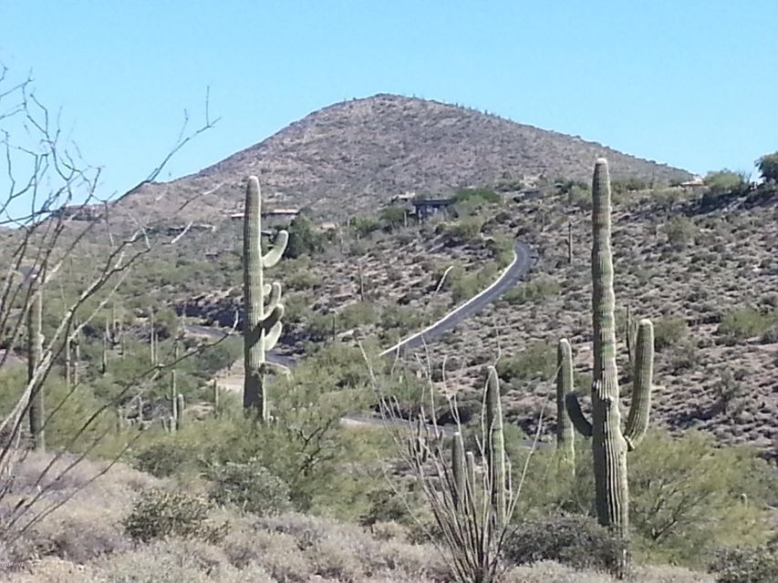 Abundant saguaros on property