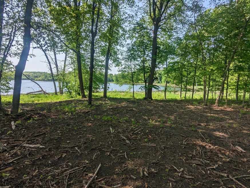 Lot 1 Honeysuckle Ln SW, Kensington, MN 56343 - photo 1