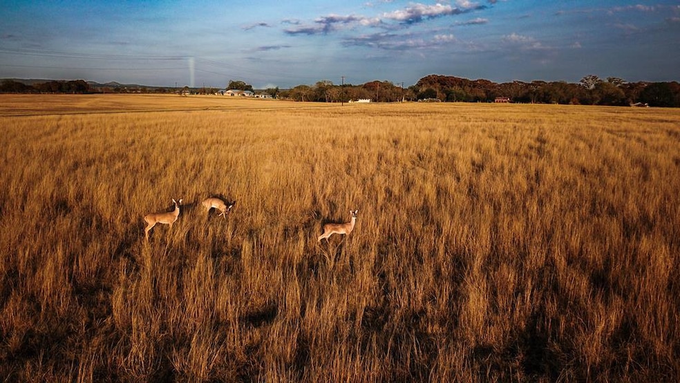 000 Elm Pass Rd unit na, Center Point, TX 78010 - photo 1