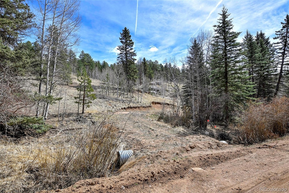 926 W Bison Creek Trail, Divide, CO 80814 - photo 1