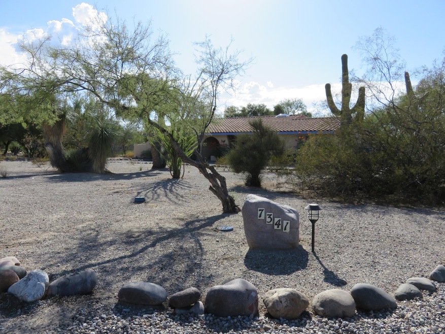 Front yard