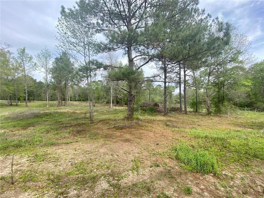 44035 Max Brumfield Rd, Franklinton, LA 70438 - photo 1