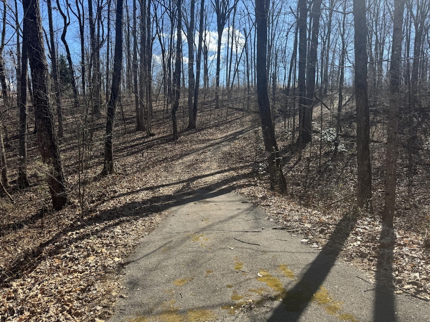 37 Village Dr, Cohutta, GA 30710 - photo 1