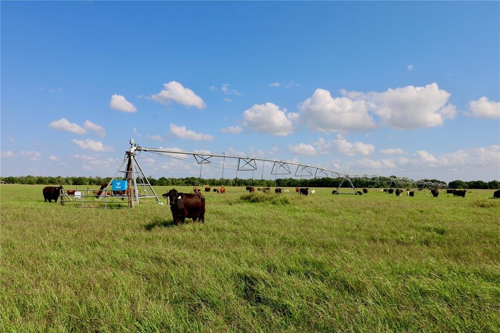 0 NW 30th Terrace, Okeechobee, FL 34972 - photo 1