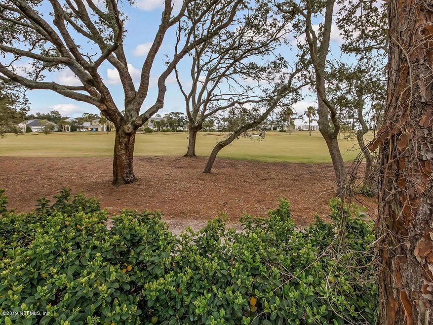 View from Backyard