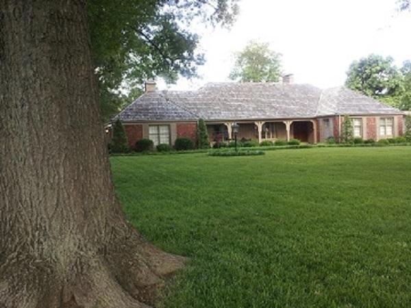 Primary Photo