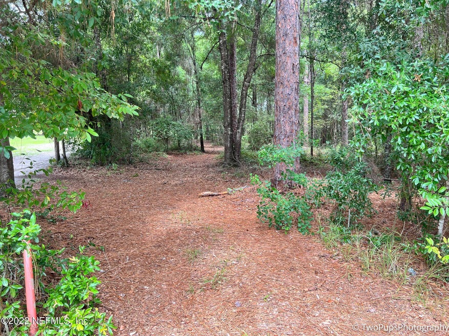 3-web-or-mls-Alameda-38