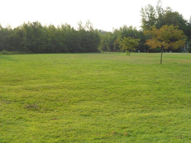 Main View