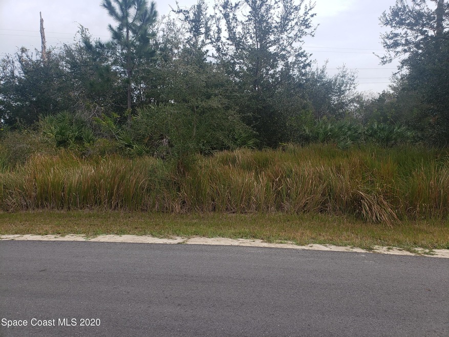 Lot 2993 Creech Ave Se Palm Bay