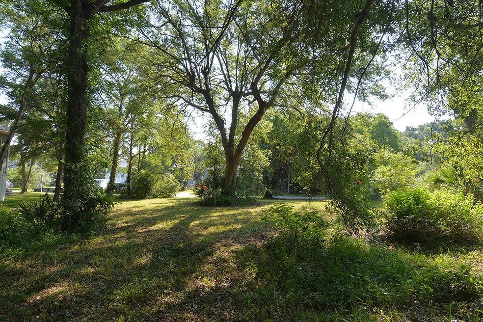 Beautiful Trees on this lot for privacy