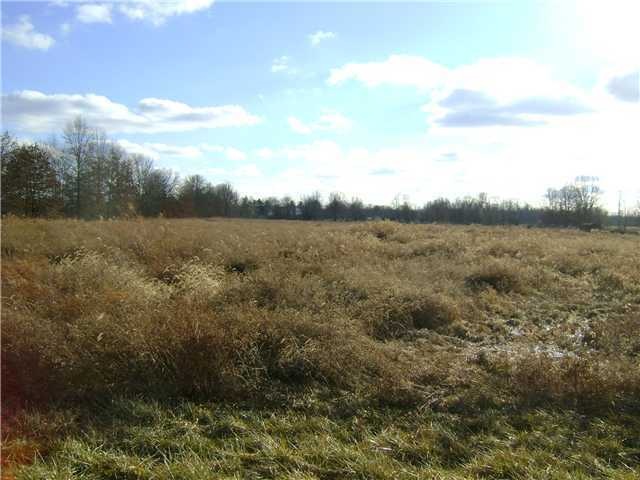 Primary Photo