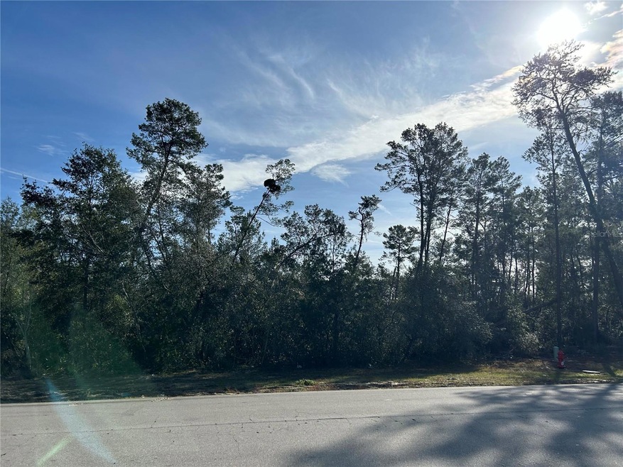 0 SW Marion Oaks Ln unit MFRO6171762, Ocala, FL 34473 - photo 1