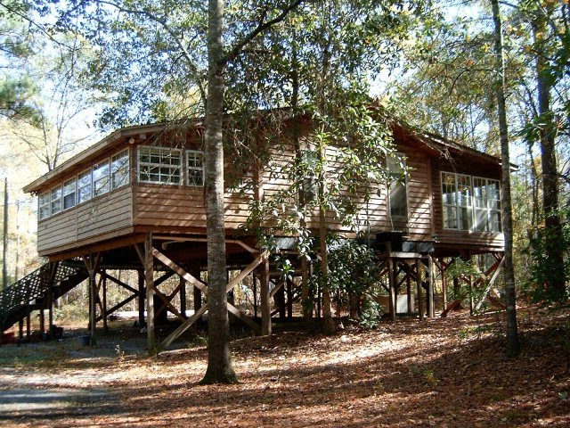 Main View
