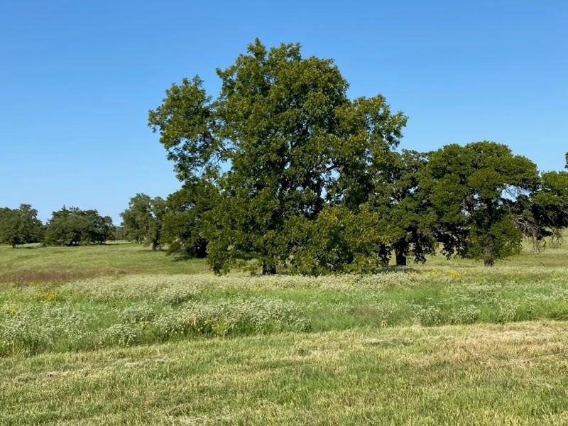 135 Sandy Ct, Decatur, TX 76234 - photo 1