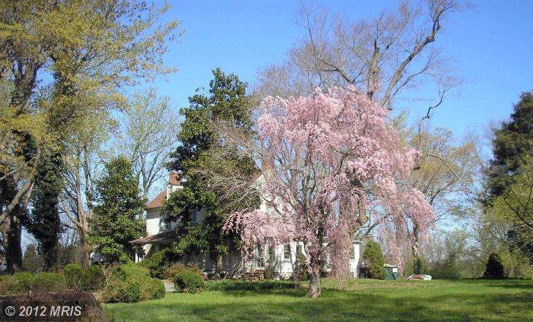 6928 Rock Hall Rd, Rock Hall, MD 21661 - photo 1