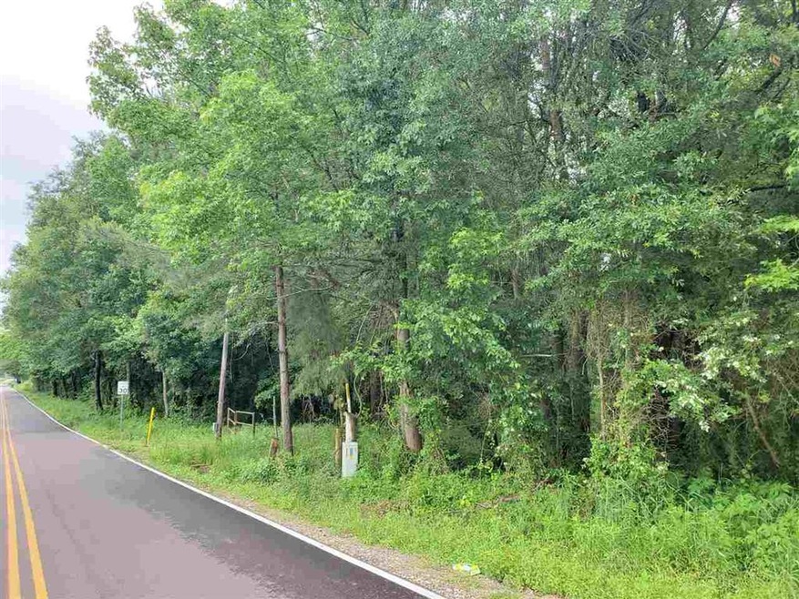 0 Cr 1307 W Macedonia unit 106911, Texarkana, TX 75501 - photo 1