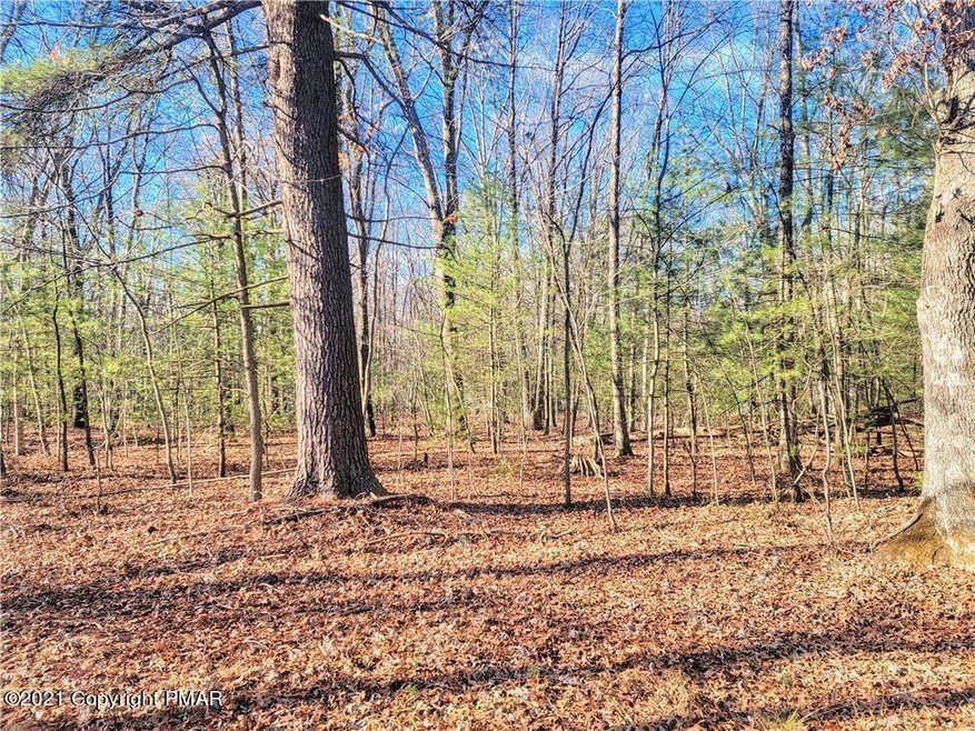 15 Penn Dr, Towamensing Township, PA 18235 - photo 1