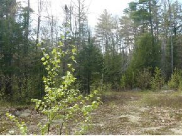 2 Center St, Wolfeboro, NH 03894 - photo 1