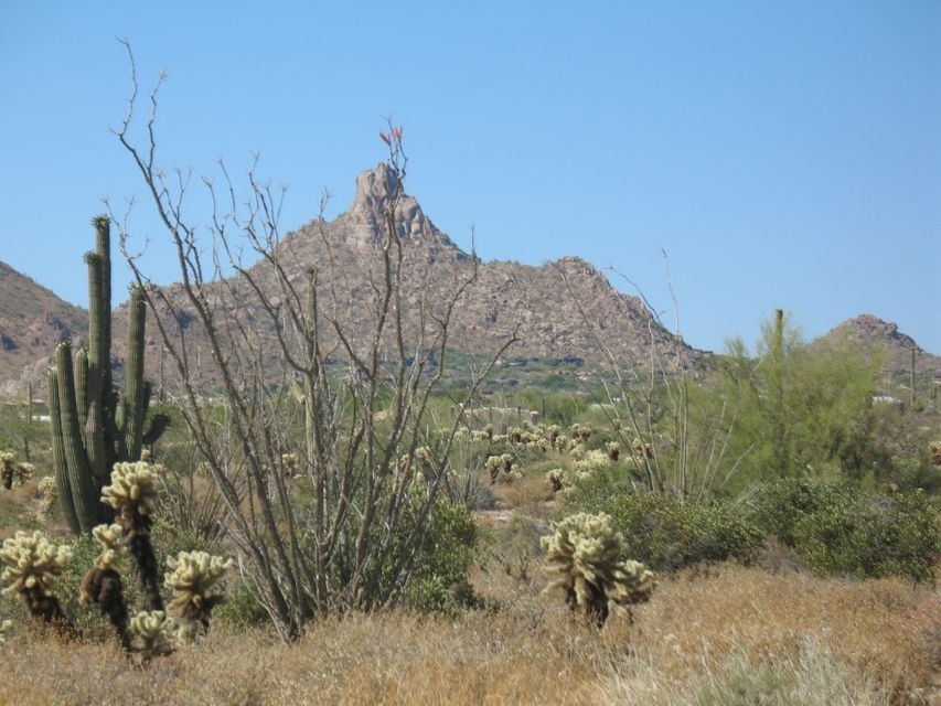 Pinnacle Peak