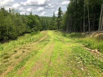 Lot 14 Pullen Rd, Garland, ME 04939 - photo 1
