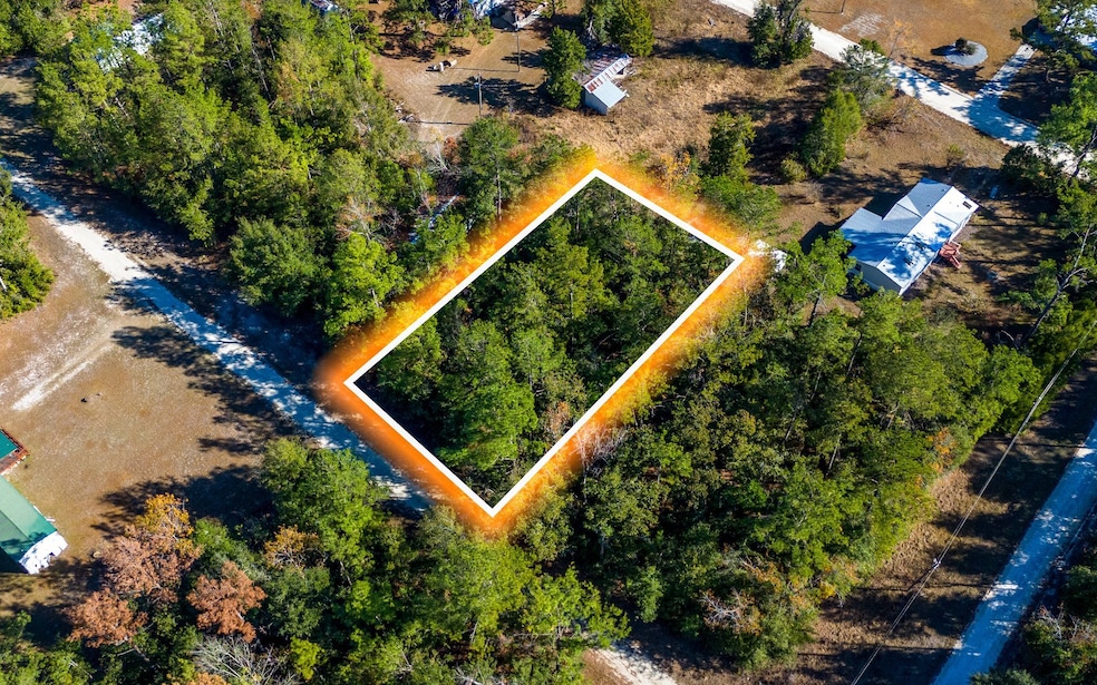 00 177th Ln, Live Oak, FL 32060 - photo 1