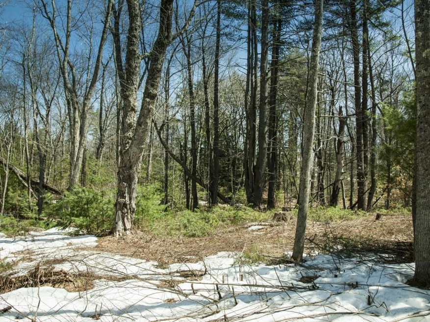 Pretty Lot, lightly wooded lot.