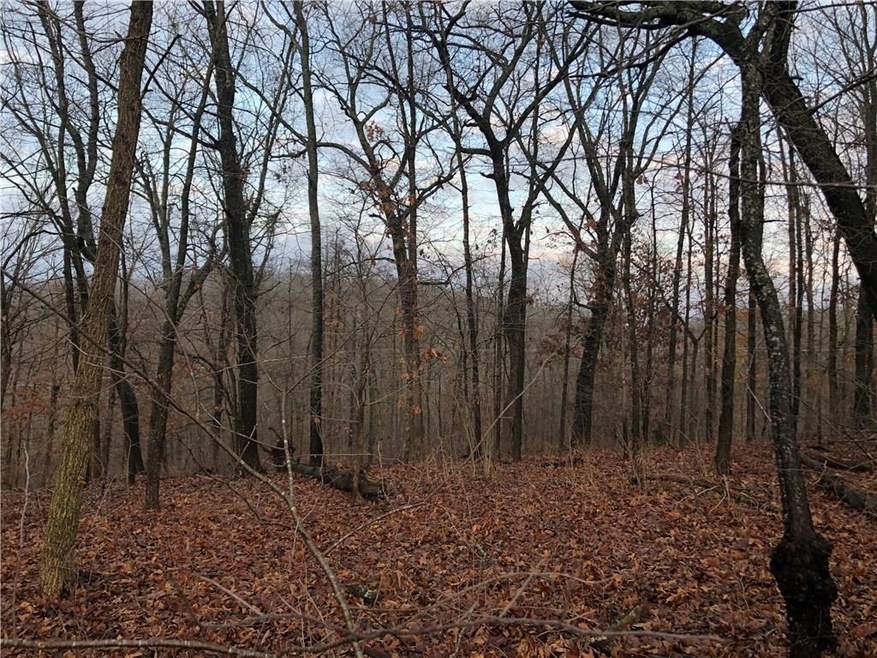 11 Kensington Dr, Bella Vista, AR 72715 - photo 1