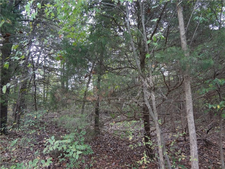 61 Dunsford Dr, Bella Vista, AR 72715 - photo 1