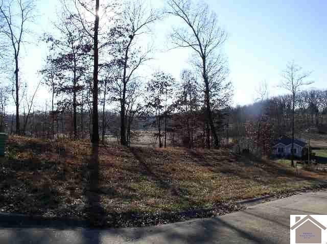 Lot 62 Fairway Dr, Benton, KY 42025 - photo 1