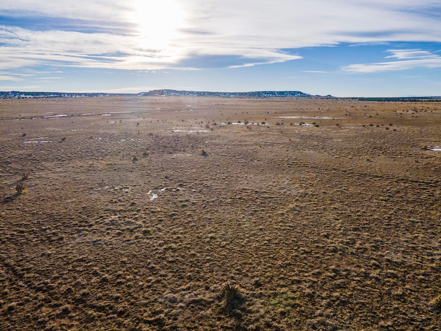 DJI_0526
