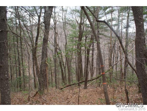Level/sloping lot with veiw