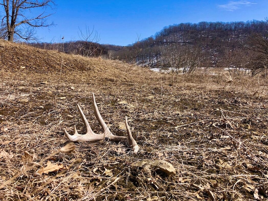 0 E Burns Valley Rd unit 1829725, Wilson, MN 55987 - photo 1