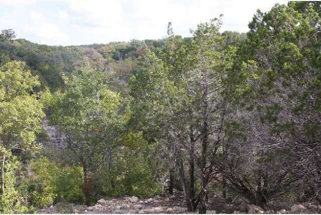 Land/Lot