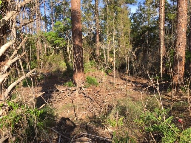 0 Rock Crusher Rd unit 292885, Crawfordville, FL 32327 - photo 1