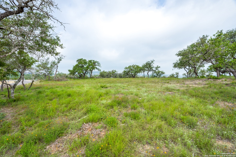 9703 Lenox Hill, San Antonio, TX 78255 - photo 1