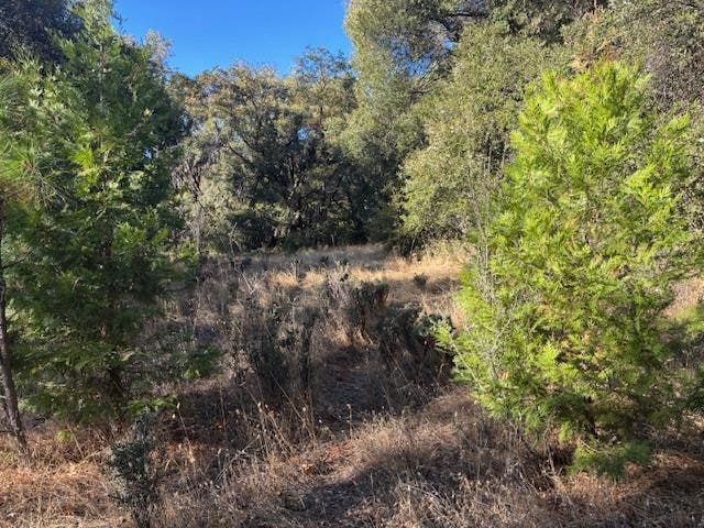 16272 State Route 26, Glencoe, CA 95232 - photo 1