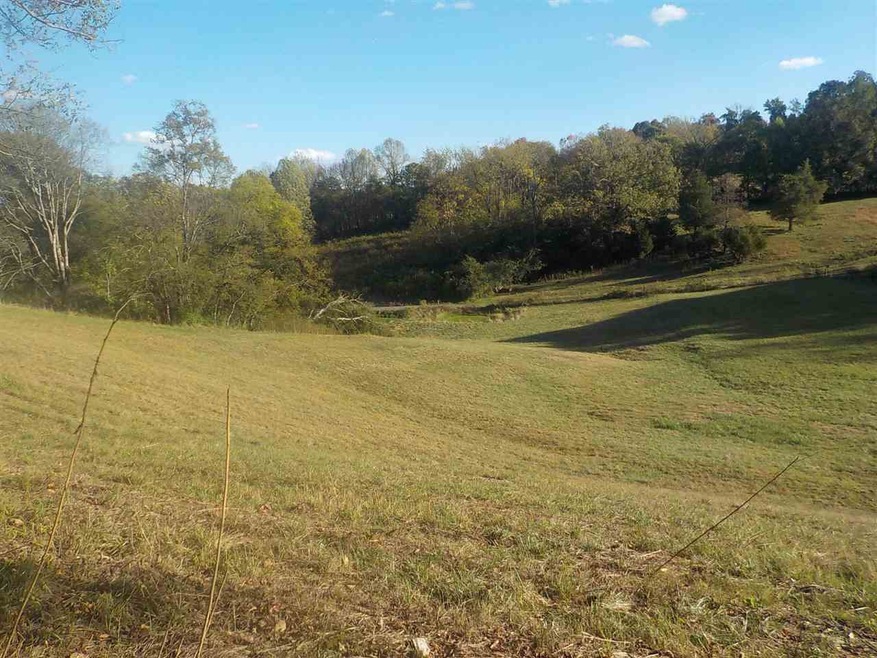 0 Calloway Rd, Rutledge, TN 37861 - photo 1