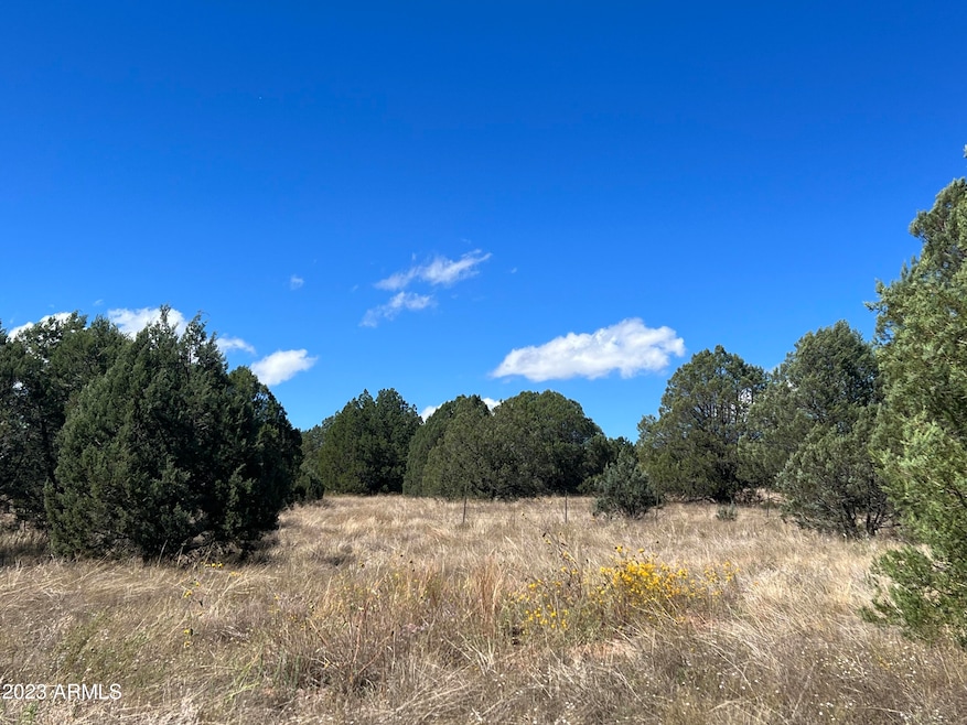 Sold $74,500 • Co-Listing Agent