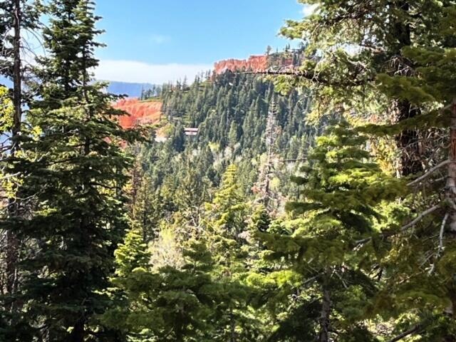 1110 W Big Horn Cir, Duck Creek Village, UT 84762 - photo 1