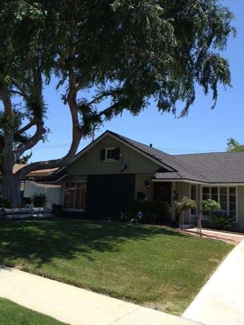 Front Yard